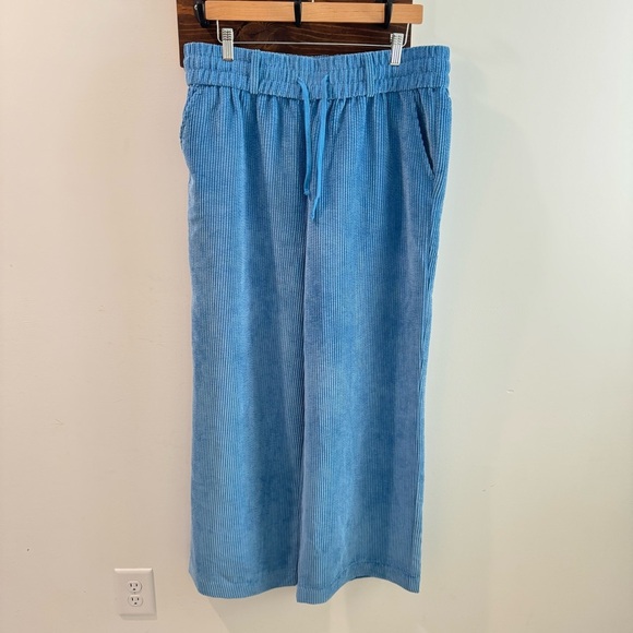 BDG Jessie Wide Leg Corduroy Pull On Pants in Powder Blue Size XL - Picture 1 of 8